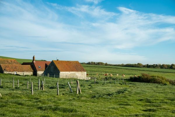 Les réglementations à connaître pour la location de fermes en France