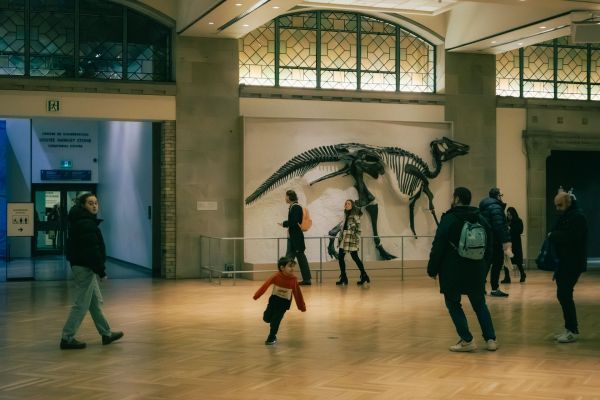 Les visites culturelles pour enfants : comment les initier à la culture ?